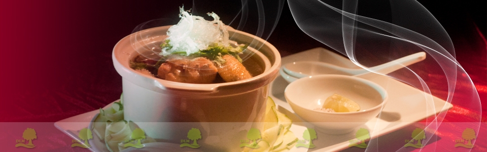yến sào yến sào